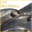 Las proteinas
