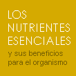 Los nutrientes esenciales