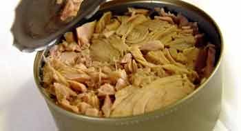 DIETA DEL ATÚN