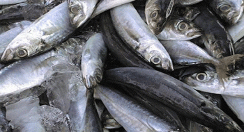 Pescado: Conoce su valor nutrititivo