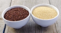 5 cosas que debes saber de la quinoa