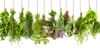 5 hierbas para reducir el dolor y la inflamación