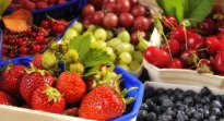 Entérate si las frutas son buenas o malas para la salud