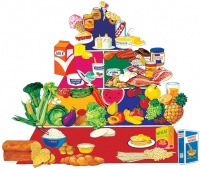 La Pirámide de los alimentos