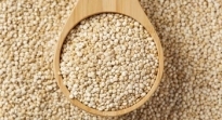 Quinoa: una opción libre de gluten